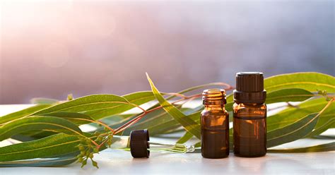 9 Amazing Eucalyptus Oil Benefits You Need to Know