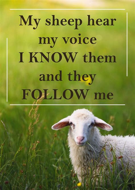 My sheep hear my voice, and I know them, and they follow me. John 10:27 ...