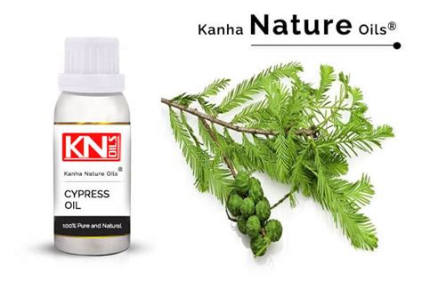 CYPRESS OIL - KANHA NATURE OILS (Natural Essential Oil)