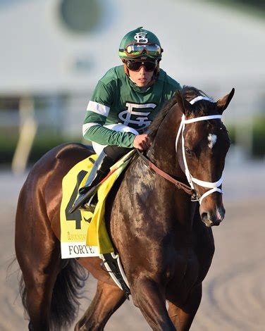 Forte, Art Collector Continue to Lead NTRA Polls - BloodHorse