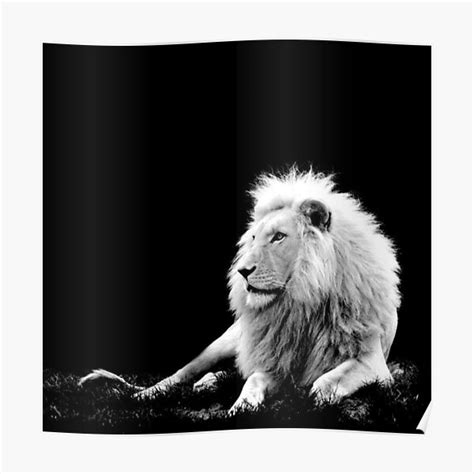 "white lion" Poster for Sale by ALBATOOLDESING | Redbubble