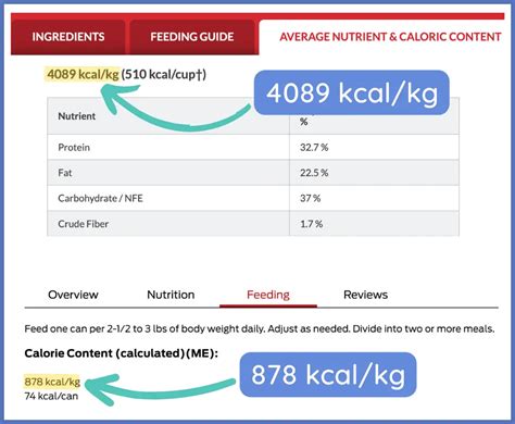 Wet and/or Dry Cat Food Calculator: How Much to Feed a Cat