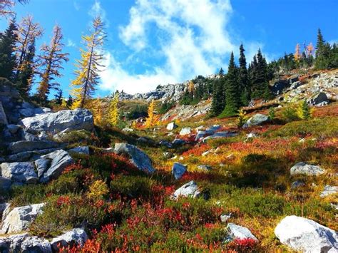 If You Can Only Hike 1 Washington Trail This Fall, You'll Want To Make It This One | North ...