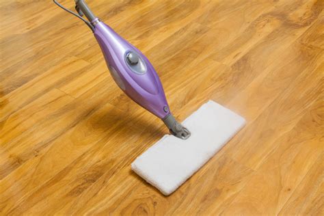 Best Steam Mop For Laminate Floors | House Trick