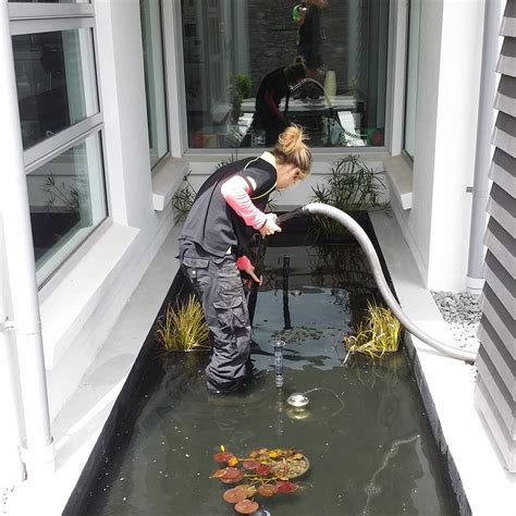 Our Services - The Pond Company, Christchurch