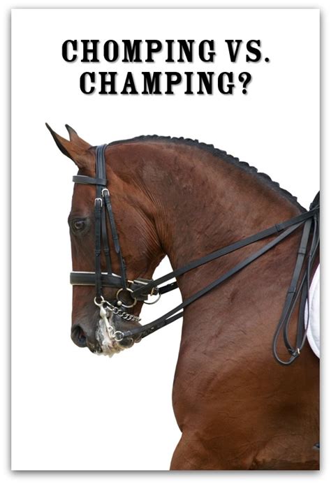 You’re Saying It Wrong! Chomping vs. Champing