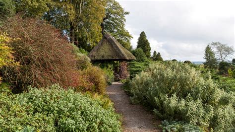 Visit Chirk Castle’s garden | Wales | National Trust