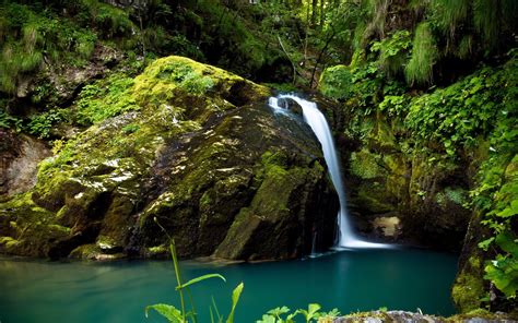 Rainforest Waterfall Wallpapers - Wallpaper Cave