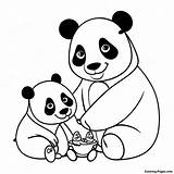 Mimi Panda Family Coloring Page  Pagescom sketch template