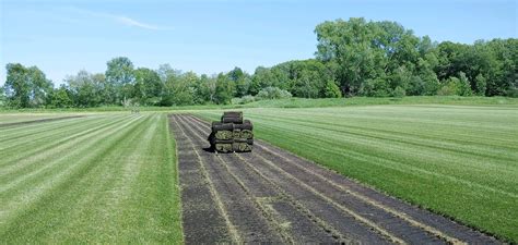 Sod Installation | Landscaping Isanti MN