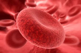 Red Blood Cell Disorders and Diseases: An Overview | Health and Well Being Tips