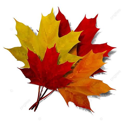 Realistic Red Maple Leaf Bright Design Nature Vector, Bright, Design, Nature PNG and Vector with ...