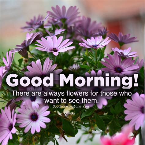 Download image of Good morning flowers with images - Good Morning Images, Quotes, Wishes ...