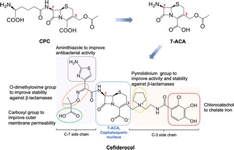 The chemical structure of cefiderocol, a novel class of cephalosporins.... | Download Scientific ...