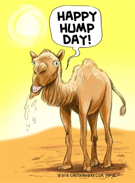 Happy Hump Day Camel on Wednesday Cartoon