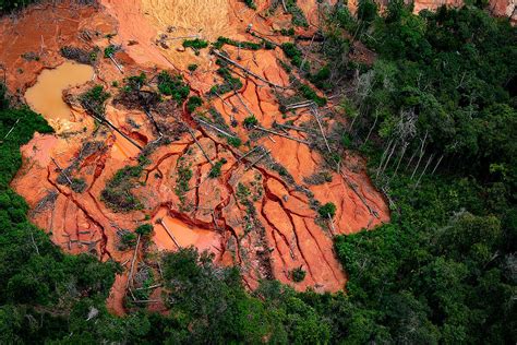 Inside the fight against illegal mining in the Amazon - Greenpeace ...