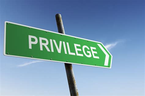 99.55% of Americans Need to Own Their “Privilege” • The Havok Journal