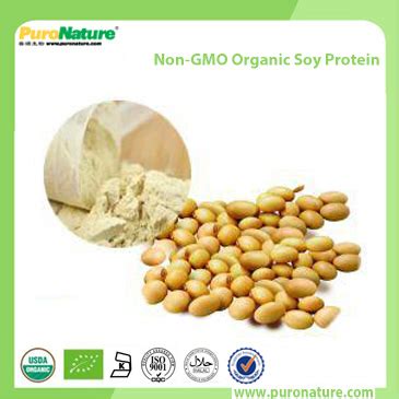 Organic Soy Protein Powder - Xi'an PuroNature Biotechnology Co.,Ltd