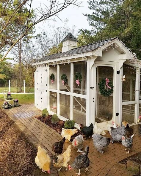 Gorgeous Coop - Modern Design | Backyard chicken coop plans, Cute chicken coops, Backyard ...