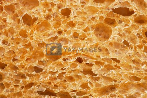 Bread Texture. by romanshyshak Vectors & Illustrations with Unlimited ...