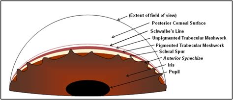 Pin on Los Ojos