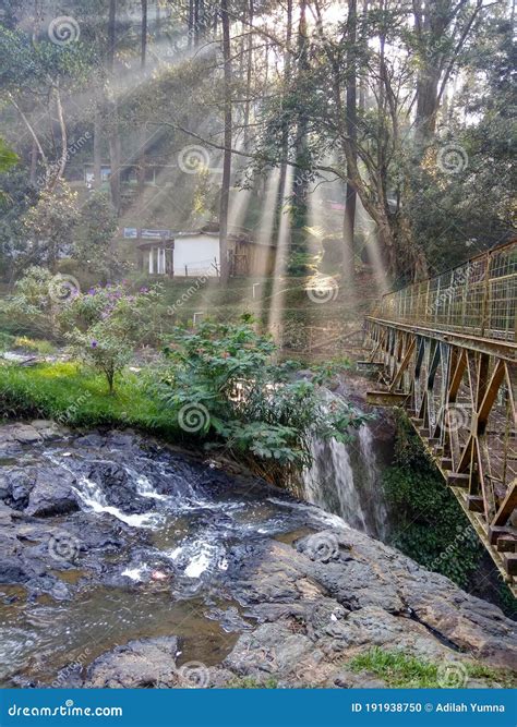 Waterfall in the Middle of Forest with Sun Light between Tree Taman ...