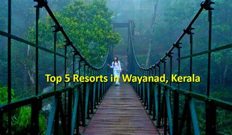 Top 5 Resorts in Wayanad | Wayanad Resorts | Waytoindia.com