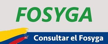 Como Descargar el Certificado Fosyga de Adres 【noviembre 2024