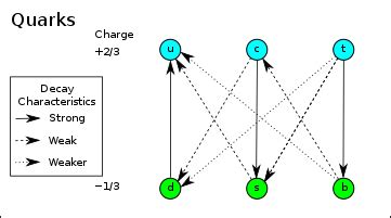 What is smaller than a quark? | Homework.Study.com