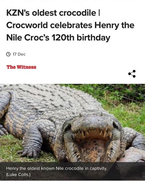 KZN's oldest crocodile I Crocworld celebrates Henry the Nile Croc's 120th birthday 17 Dec The ...