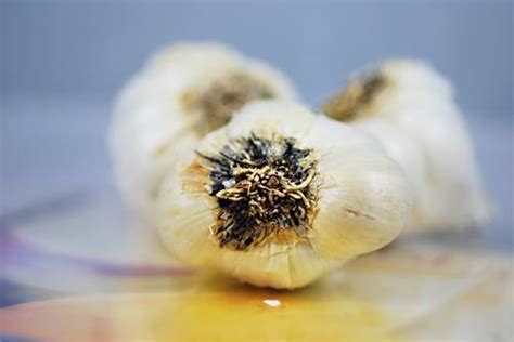 Natural Antibiotics and More Found in Garlic | The Best Natural Antibiotic