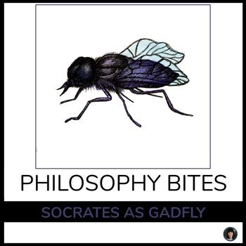 CRITICAL THINKING ACTIVITIES | PHILOSOPHY BITES | SOCRATES AS GADFLY