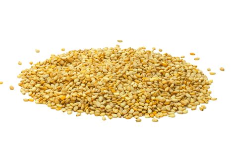 Sesame Seeds Transparent - PNG All | PNG All