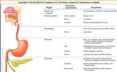 GI Physiology Images Copied Flashcards | Quizlet