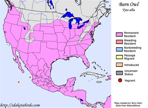 Barn Owl - Species Range Map