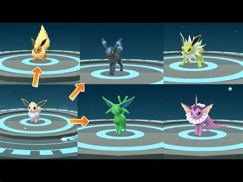 Pokemon Eevee Evolutions Shiny