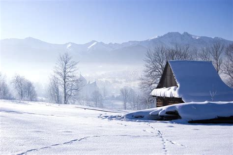 Winter Scene Royalty Free Stock Photography - Image: 7668187