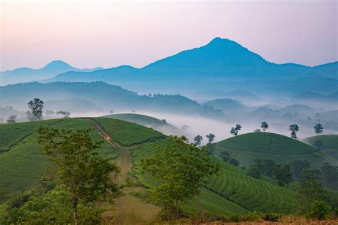 Landscape Tea Hill Vietnam - Free photo on Pixabay