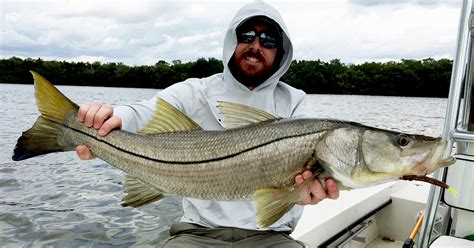 Snook Fishing: Tips On Catching Snook In The Summer