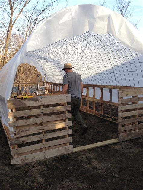 tall cow panel hoop house - Google Search | Homesteading | Hoop house chickens, Cattle panels ...