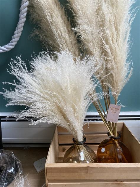 Pampas Grass Bouquet (20 Stems) / Small Ivory Pampas Grass / Pampas ...