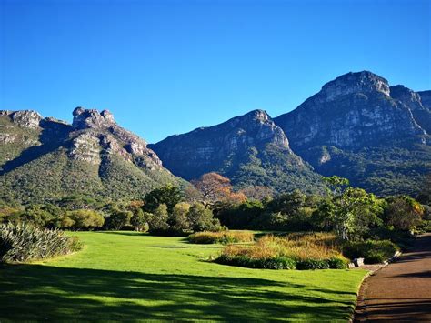 Fynbos walk in Kirstenbosch National Botanical Garden from Cape Town | OutdoorTrip