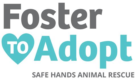 Dog Foster To Adopt – Safe Hands Rescue