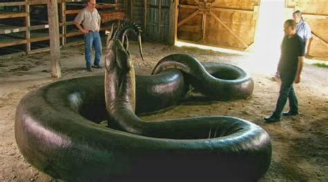 The Scariest Snake Ever! ~ Cool Things Shared on Facebook