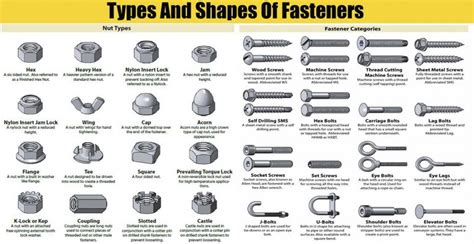 Types And Shapes Of Fasteners, Nuts, Screw Head, And washers ...