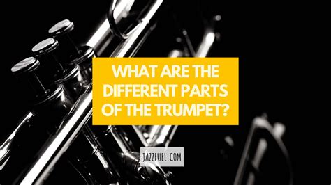 What Are the Different Parts of the Trumpet? Instrument Anatomy - Jazzfuel