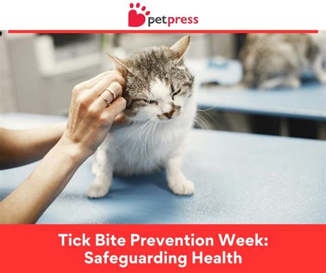 Tick Bite Prevention Week: Safeguarding Health - PetPress