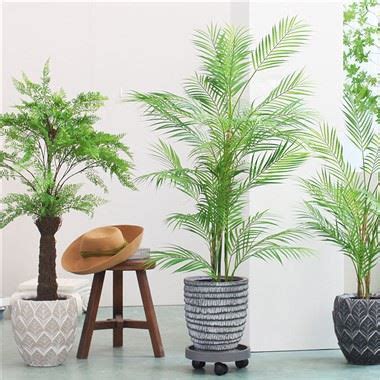Customized Golden Cane Palm Tree Manufacturers Suppliers - Wholesale Discount - PREFACE