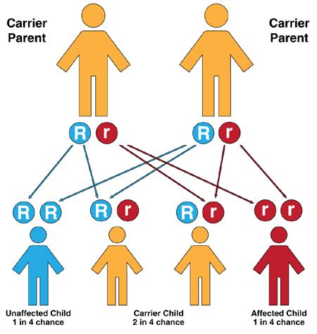 Medical Science Made Easy: Autosoml Recessive diseases at a glance