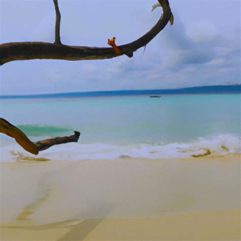 Explore the Pristine Beaches of Andaman Islands - GCT